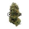 Alien OG - Online Dispensary Canada - Buyweedpacks