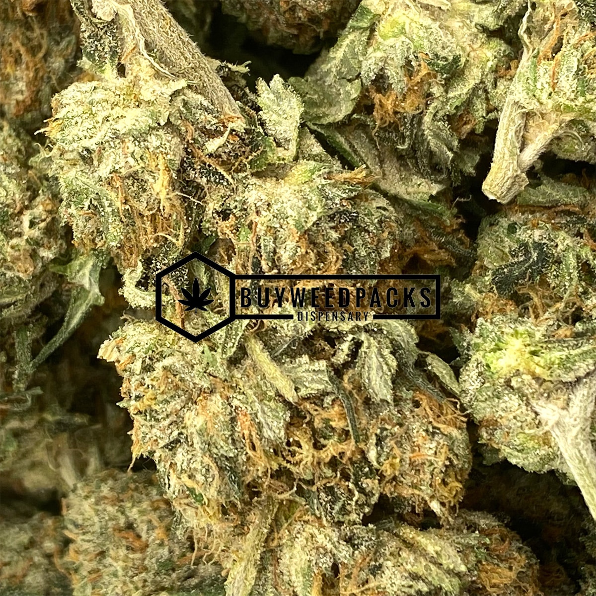 Alien OG - Online Dispensary Canada - Buyweedpacks