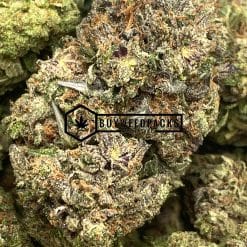 Black Tuna - Online Dispensary Canada - Buyweedpacks