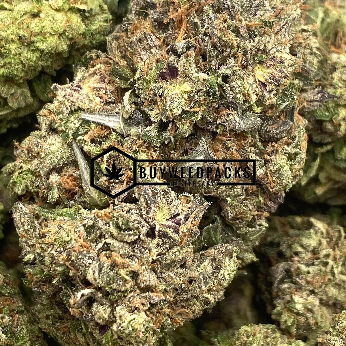 Black Tuna - Online Dispensary Canada - Buyweedpacks