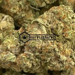 Blue Cookies - Buy Weed Online - Buyweedpacks