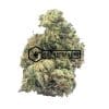 Bruce Banner | Buy Online Weeds | Buyweedpacks