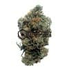 Chasca - Online Dispensary Canada - Buyweedpacks