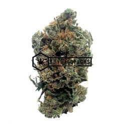 Chasca - Online Dispensary Canada - Buyweedpacks