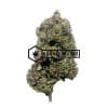 Gorilla Glue #4 | Buy Online Weeds | Buyweedpacks