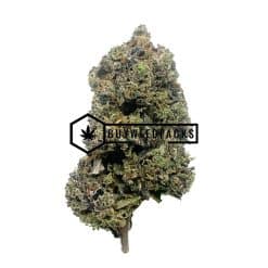 Gorilla Glue #4 | Buy Online Weeds | Buyweedpacks