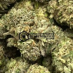 Gorilla Glue #4 | Buy Online Weeds | Buyweedpacks