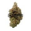 Greasy Pinks | Buy Online Weeds | Buyweedpacks