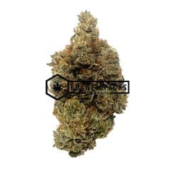 Greasy Pinks | Buy Online Weeds | Buyweedpacks