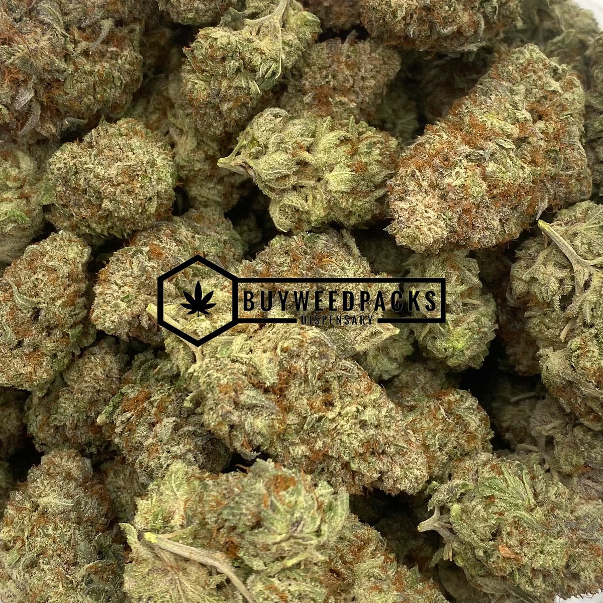 Greasy Rockstar - Online Dispensary Canada - Buyweedpacks