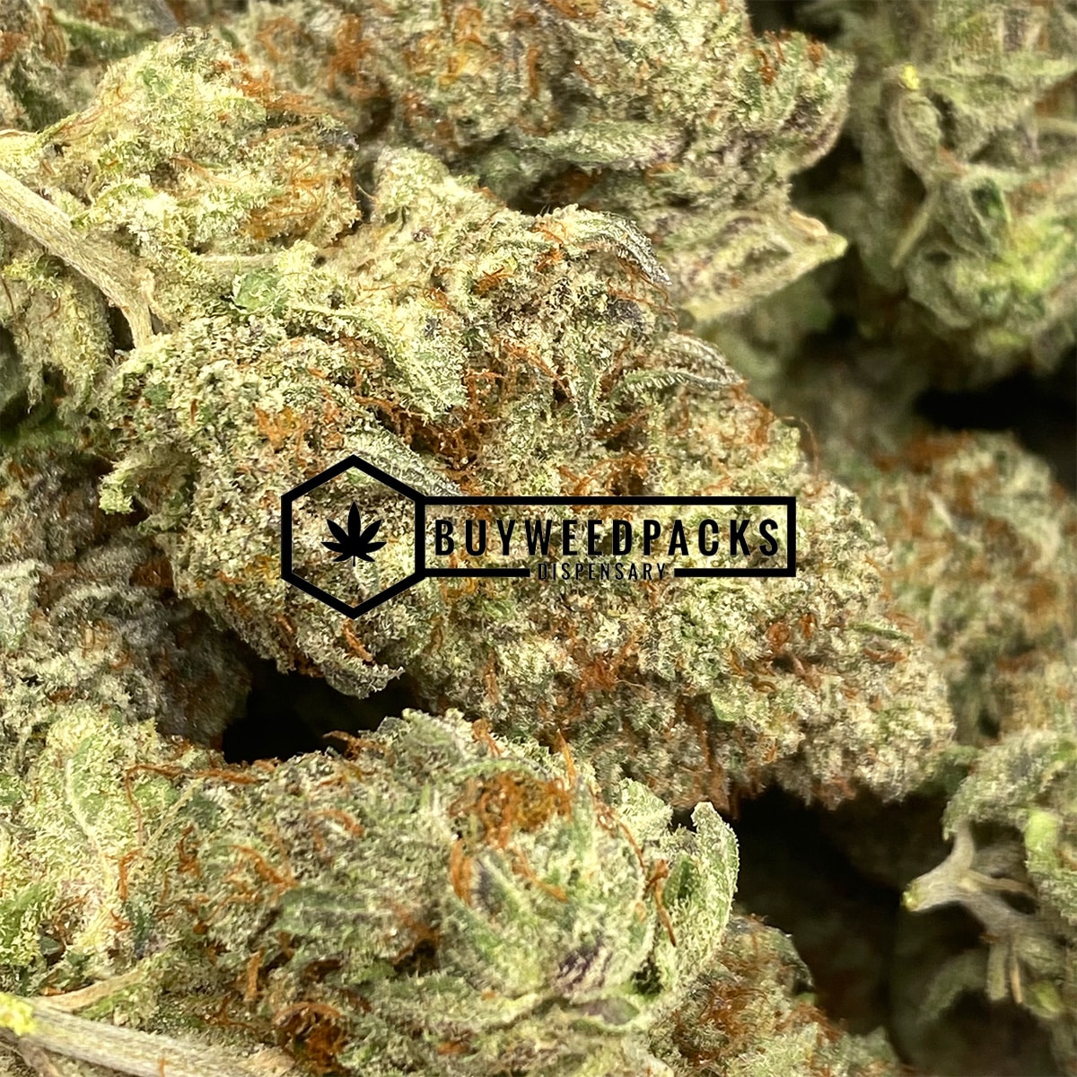 Greasy Rockstar - Online Dispensary Canada - Buyweedpacks