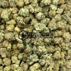 MAC 10 Popcorn | Buy Online Weeds | Buyweedpacks