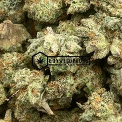 MAC 10 Popcorn | Buy Online Weeds | Buyweedpacks