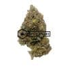Mk Ultra | Buy Online Weeds | Buyweedpacks