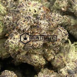 Alternative view of Peanut Butter Rockstar x Unicorn Poop