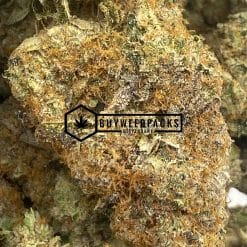 Pinetrak - Online Dispensary Canada - Buyweedpacks