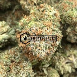 Pink Kush - Online Dispensary Canada - Buyweedpacks