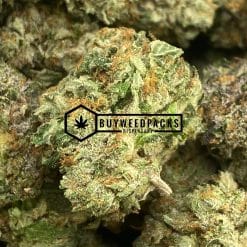 Pink Larry OG | Buy Online Weeds | Buyweedpacks