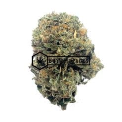 Pink Larry OG | Buy Online Weeds | Buyweedpacks