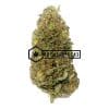 Purple Trainwreck | Buy Online Weeds | Buyweedpacks
