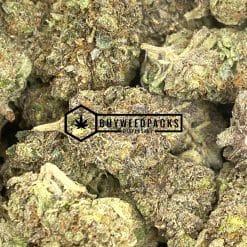 Purple Trainwreck | Buy Online Weeds | Buyweedpacks