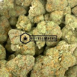 Sour Cheese - Online Dispensary Canada - Buyweedpacks