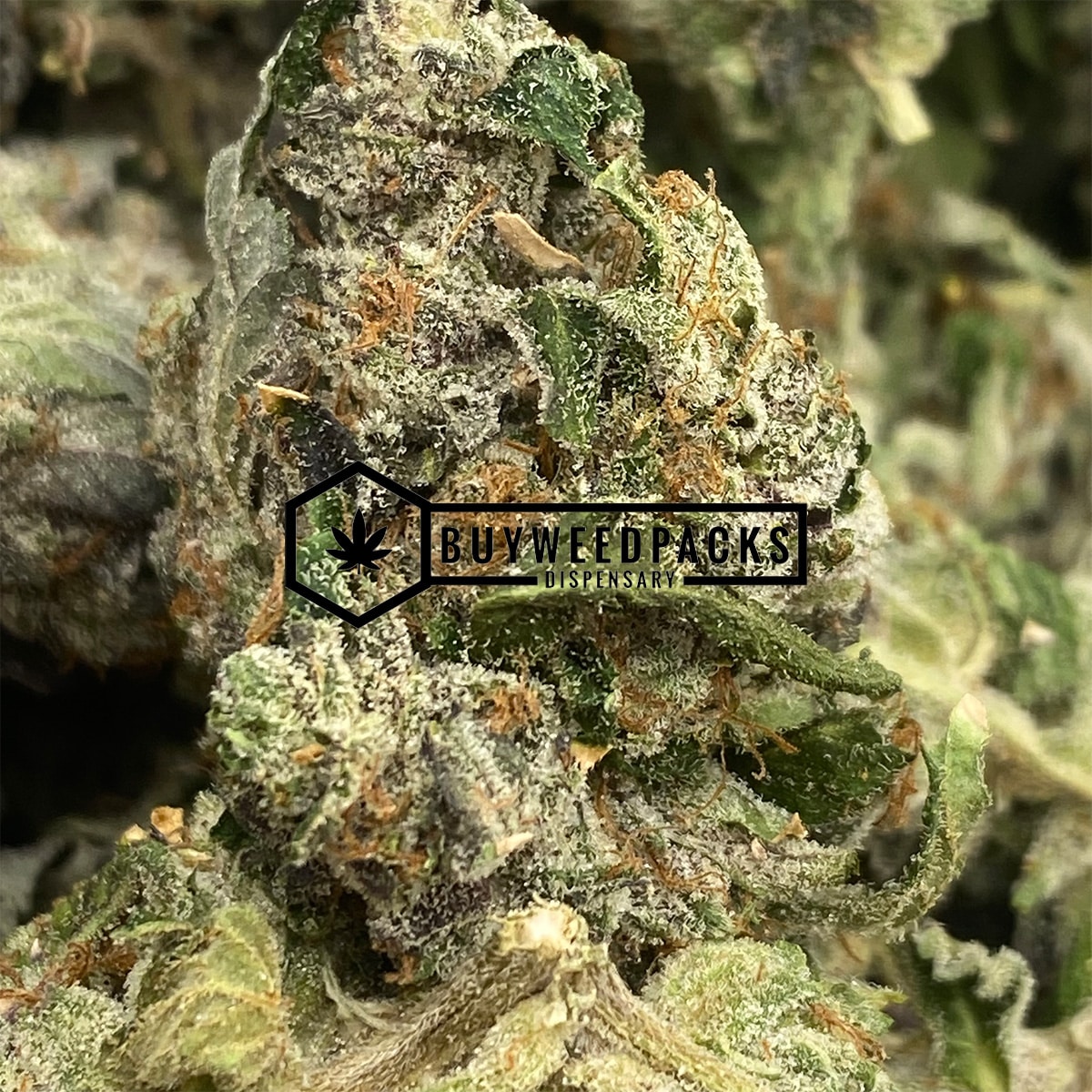 White Death - Online Dispensary Canada - Buyweedpacks