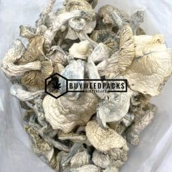 Atlantic Treasure Coast Magic Mushrooms - Online Dispensary Canada - Buyweedpacks