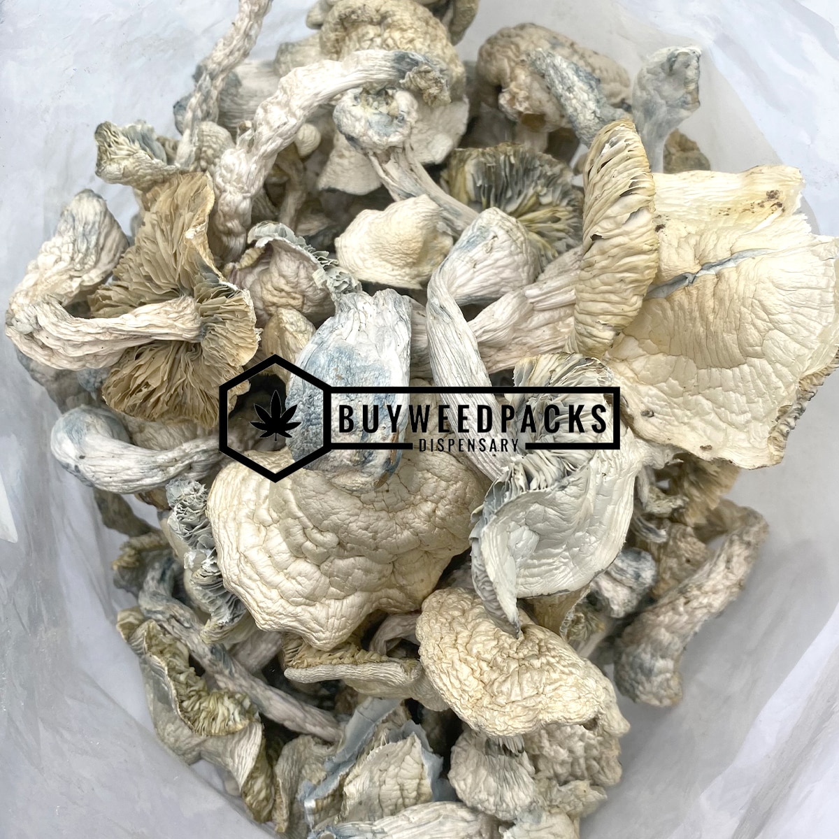 Atlantic Treasure Coast Magic Mushrooms - Online Dispensary Canada - Buyweedpacks