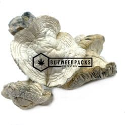 Atlantic Treasure Coast Magic Mushrooms - Online Dispensary Canada - Buyweedpacks