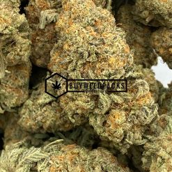 Blue Gelato - Online Dispensary Canada - Buyweedpacks