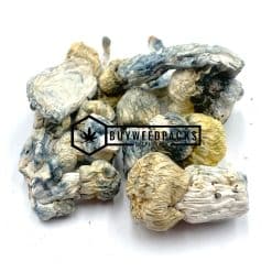 Blue Ghost Magic Mushrooms - Online Dispensary Canada - Buyweedpacks