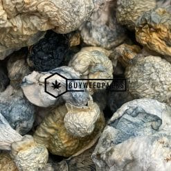 Blue Ghost Magic Mushrooms - Online Dispensary Canada - Buyweedpacks