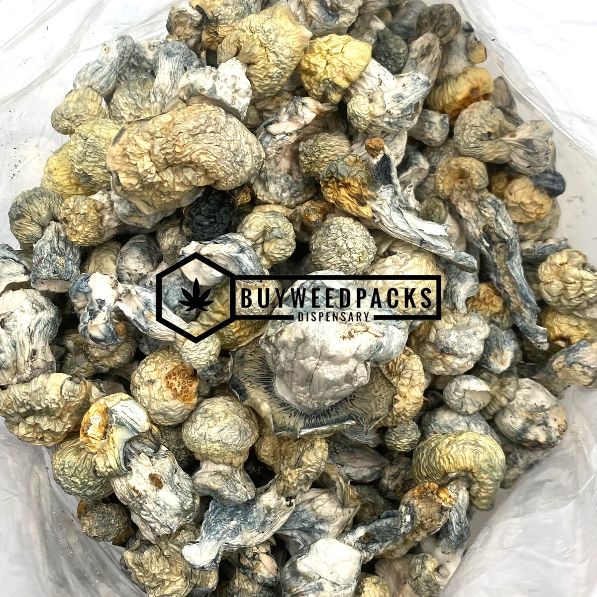 Blue Ghost Magic Mushrooms - Online Dispensary Canada - Buyweedpacks