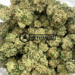 Brain's Dead - Online Dispensary Canada - Buyweedpacks