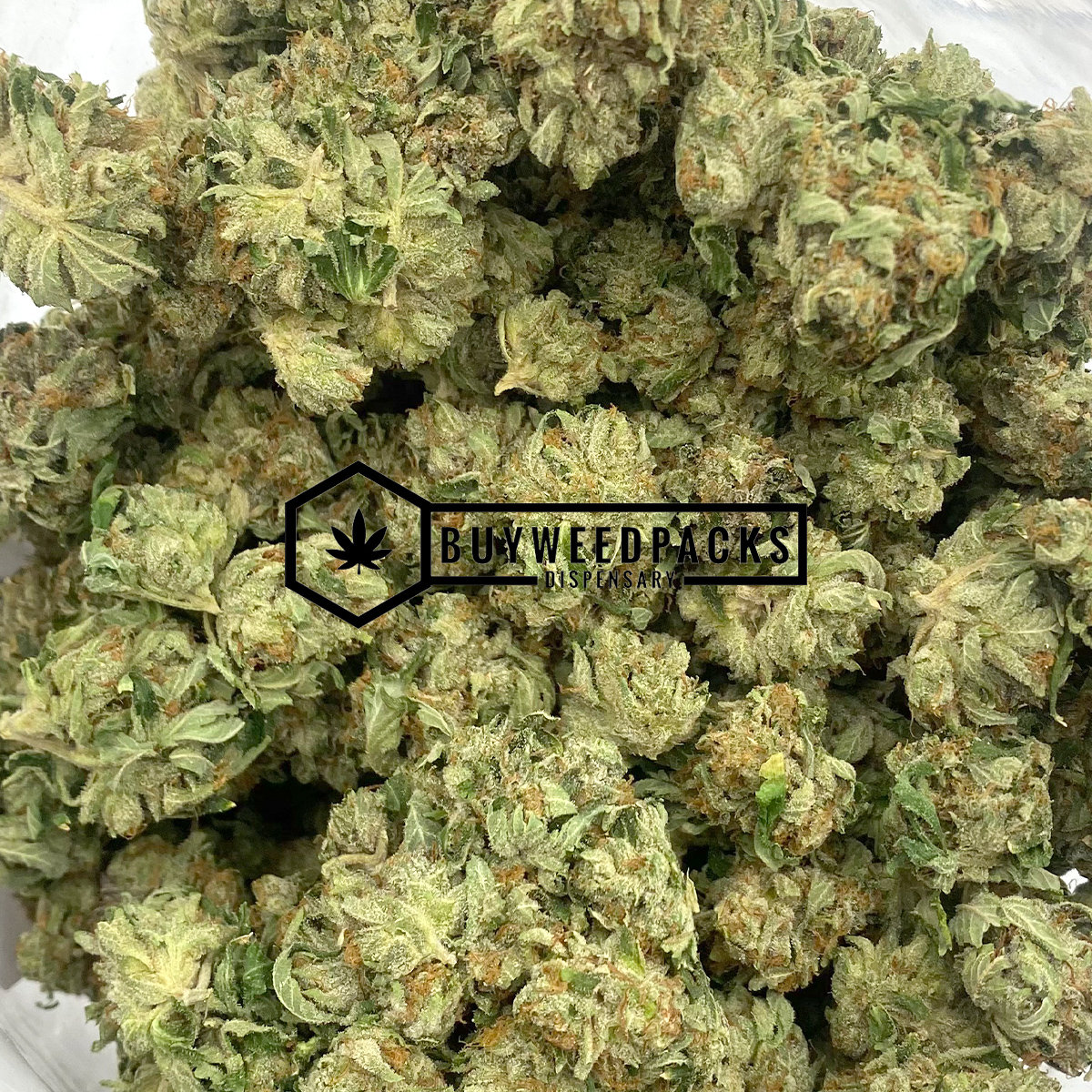 Brain's Dead - Online Dispensary Canada - Buyweedpacks