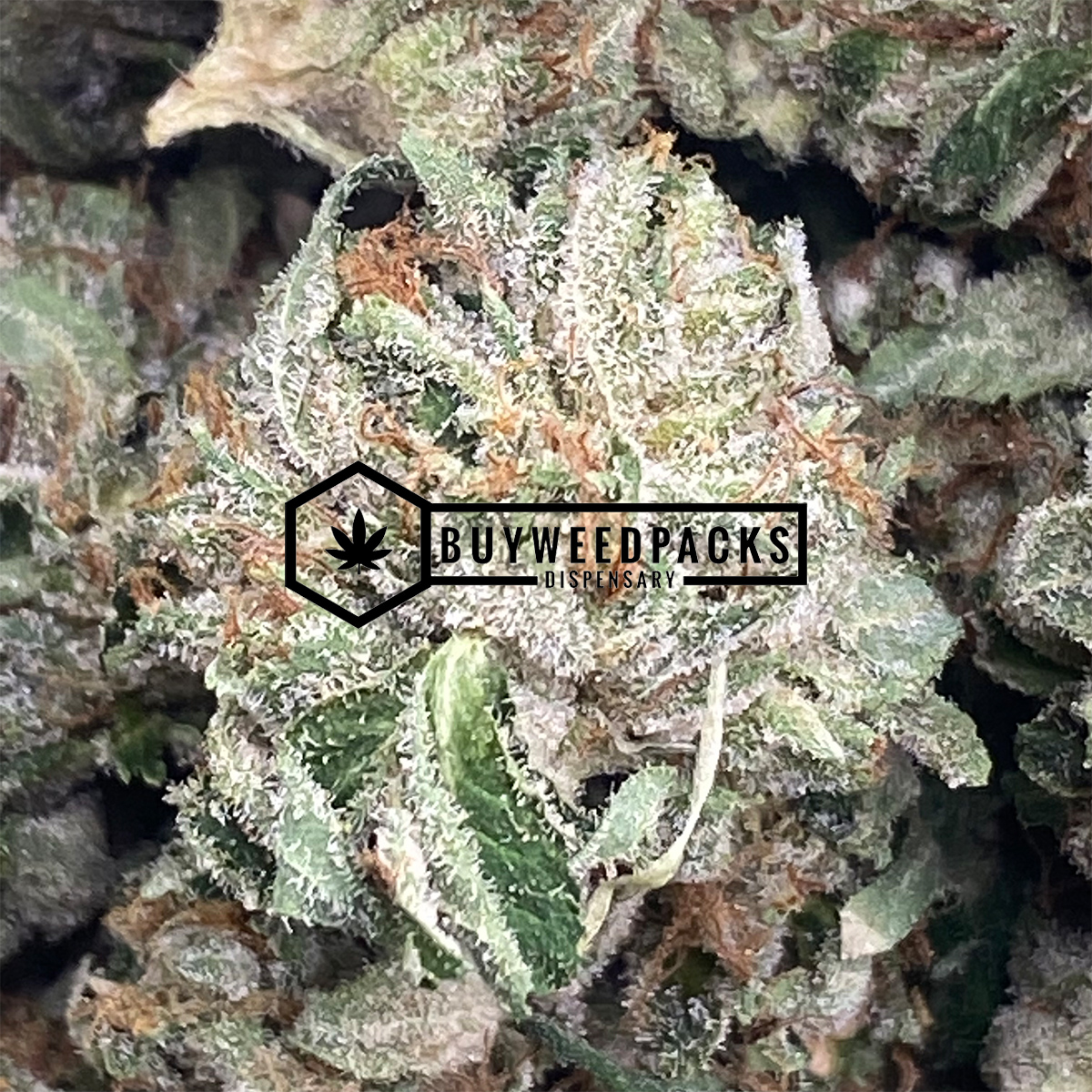 Brain's Dead - Online Dispensary Canada - Buyweedpacks