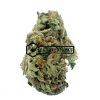 Brain's Dead - Online Dispensary Canada - Buyweedpacks