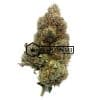 Double OG - Online Dispensary Canada - Buyweedpacks