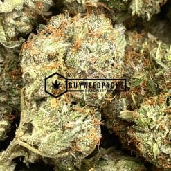 Double OG - Online Dispensary Canada - Buyweedpacks