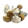 Golden Penis Envy Magic Mushroom - Online Dispensary Canada - Buyweedpacks