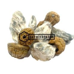 Golden Penis Envy Magic Mushroom - Online Dispensary Canada - Buyweedpacks