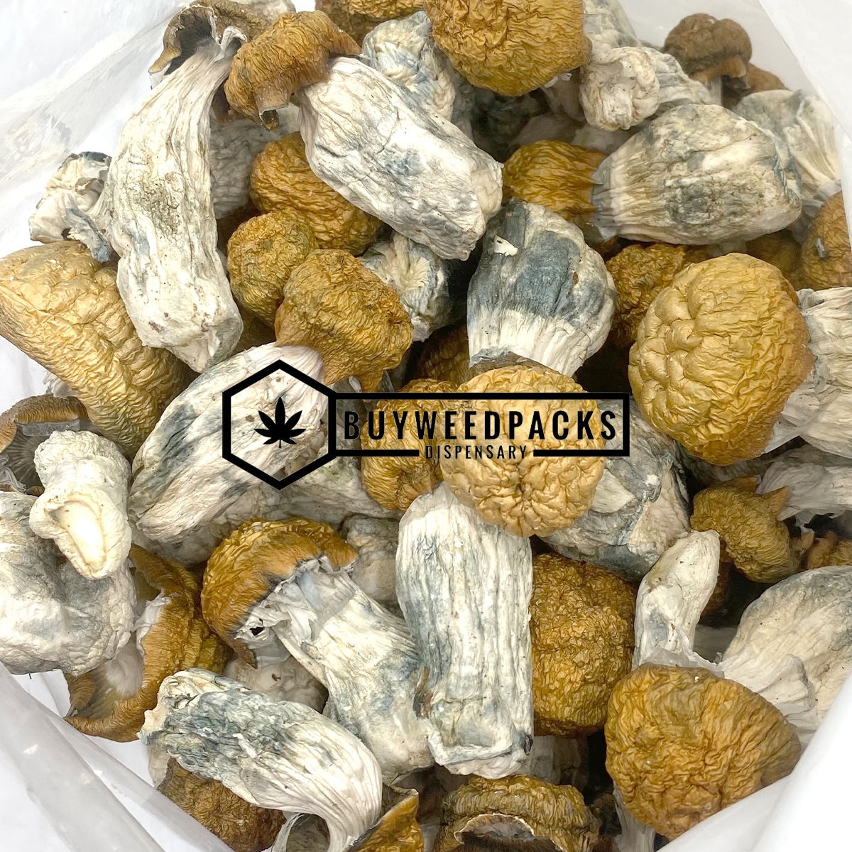 Golden Penis Envy Magic Mushroom - Online Dispensary Canada - Buyweedpacks