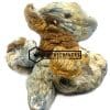 Koh Samuoi Magic Mushrooms - Online Dispensary Canada - Buyweedpacks