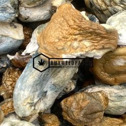 Koh Samuoi Magic Mushrooms - Online Dispensary Canada - Buyweedpacks