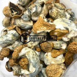 Koh Samuoi Magic Mushrooms - Online Dispensary Canada - Buyweedpacks