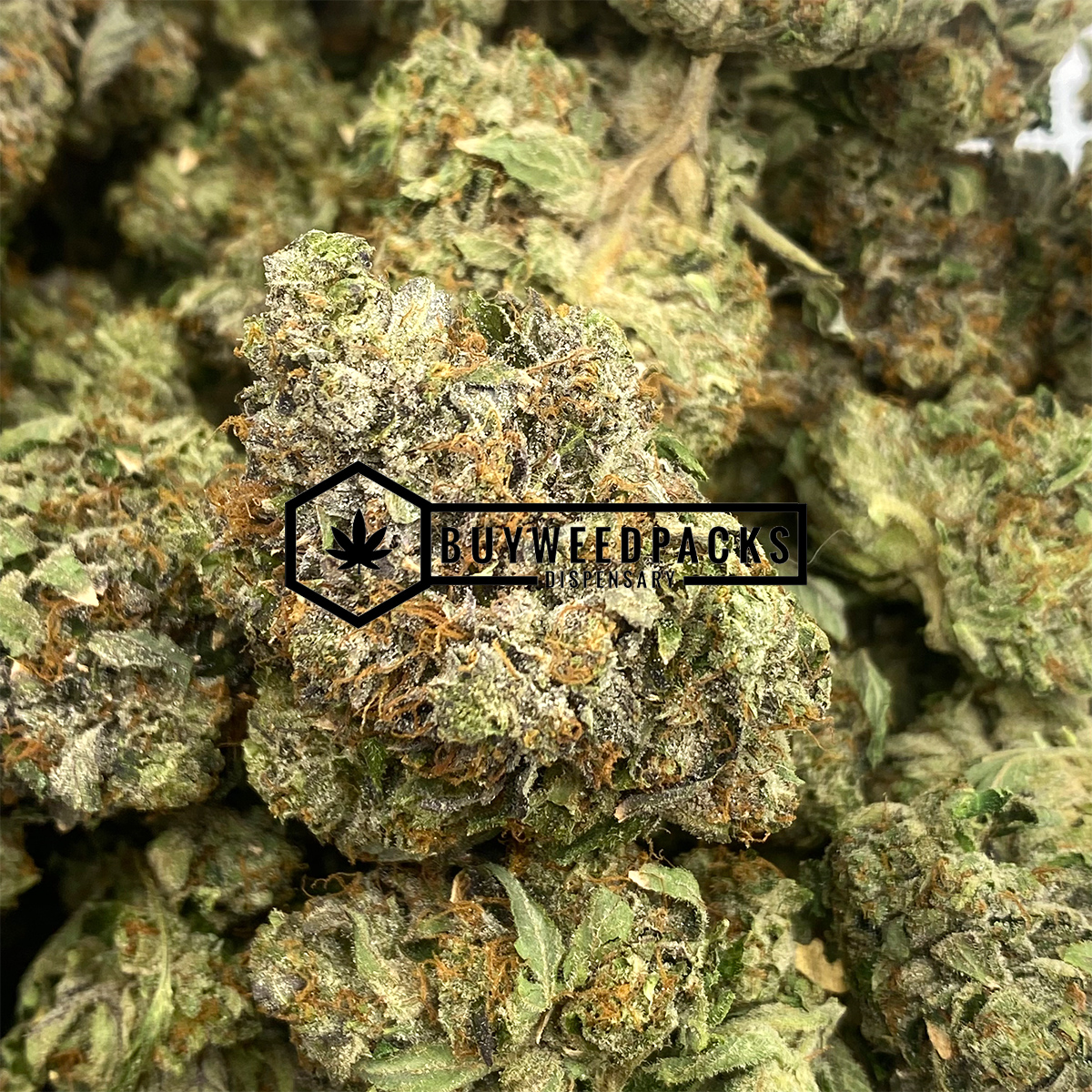 LA Kush - Online Dispensary Canada - Buyweedpacks
