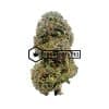 Lemon Haze - Online Dispensary Canada - Buyweedpacks