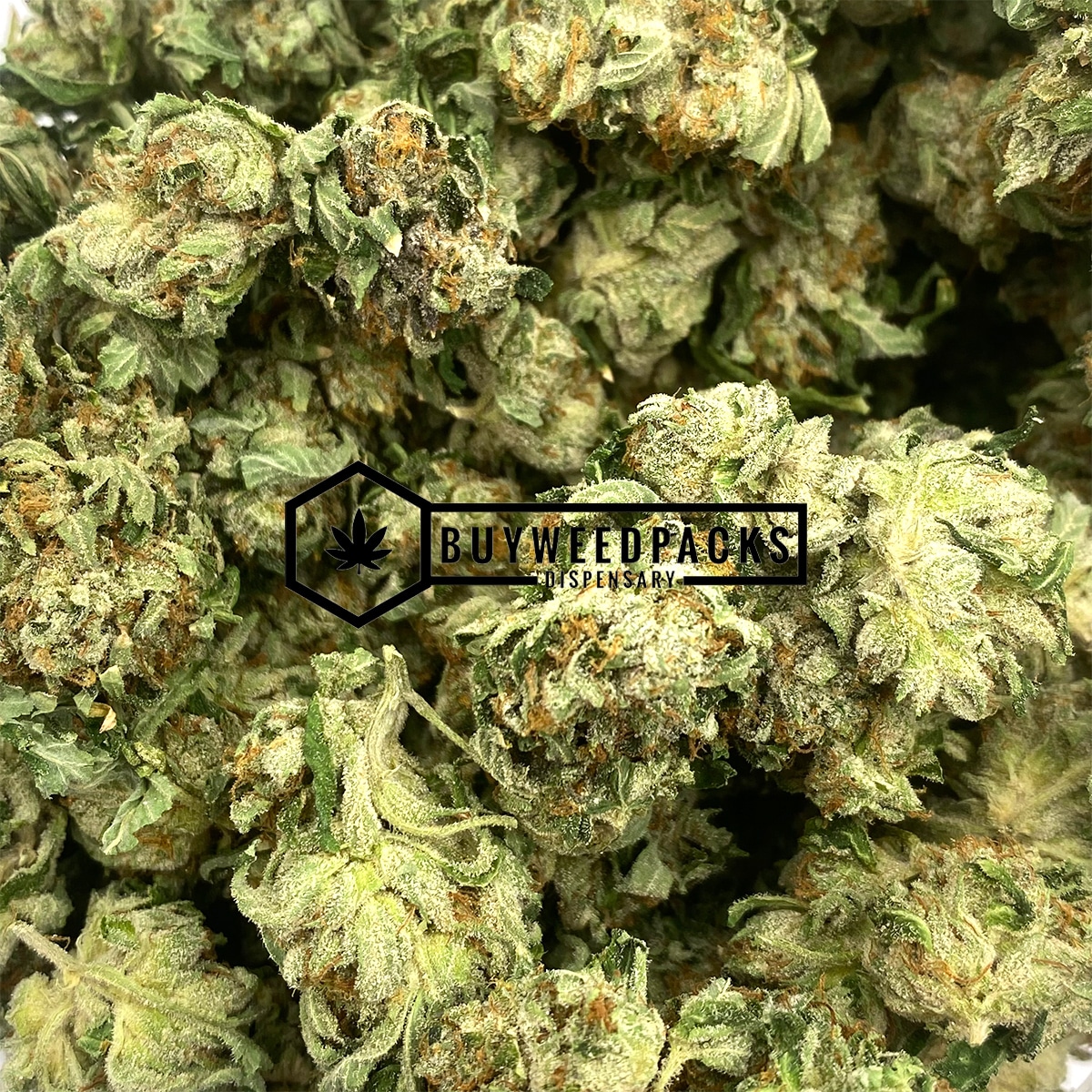 Master Kush Popcorn - Online Dispensary Canada - Buyweedpacks