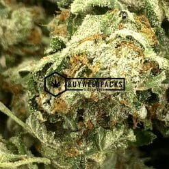 Master Kush Popcorn - Online Dispensary Canada - Buyweedpacks